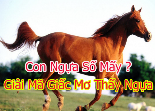 mo-thay-ngua-con-ngua-so-may-1